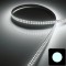 Strip IP20 3528 Blancs - 19,2W/m