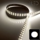 Strip IP20 5050 Blanc - 28,8W/m