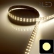 Strip IP20 5050 Blanc - 28,8W/m