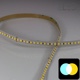 Strip IP20 5050 - Blancs Pur et Chaud - 14,4W/m