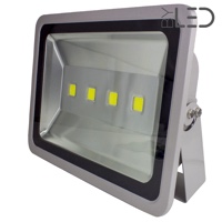 Projecteur LED 230V - Titan 200 Watts Blanc pur