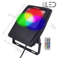 Projecteur LED Design 50 W - RGB - 230V - RHINO